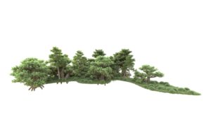 Tropical forest isolated on transparent background. 3d rendering - illustration png