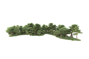 Tropical forest isolated on transparent background. 3d rendering - illustration png