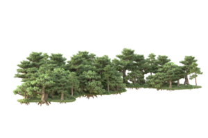 tropisch Wald isoliert auf transparent Hintergrund. 3d Rendern - - Illustration png