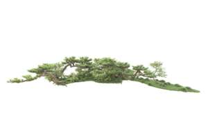 tropisk skog isolerat på transparent bakgrund. 3d tolkning - illustration png