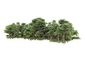 tropical forêt isolé sur transparent Contexte. 3d le rendu - illustration png