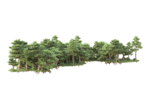 tropical forêt isolé sur transparent Contexte. 3d le rendu - illustration png