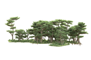 tropical forêt isolé sur transparent Contexte. 3d le rendu - illustration png