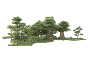 tropisch Wald isoliert auf transparent Hintergrund. 3d Rendern - - Illustration png