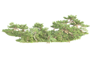 tropical forêt isolé sur transparent Contexte. 3d le rendu - illustration png