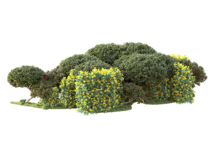 tropical bosque aislado en transparente antecedentes. 3d representación - ilustración png