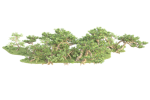 tropisch Wald isoliert auf transparent Hintergrund. 3d Rendern - - Illustration png