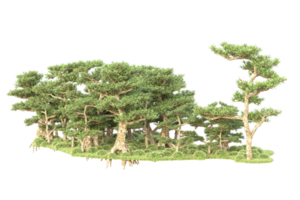 tropical forêt isolé sur transparent Contexte. 3d le rendu - illustration png