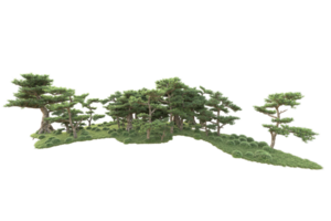 tropisk skog isolerat på transparent bakgrund. 3d tolkning - illustration png