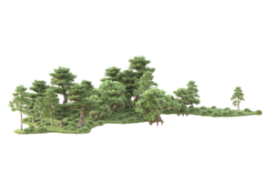 Tropical forest isolated on transparent background. 3d rendering - illustration png