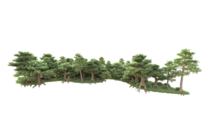 Tropical forest isolated on transparent background. 3d rendering - illustration png