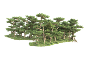 Tropical forest isolated on transparent background. 3d rendering - illustration png