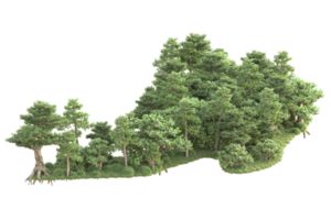 tropical forêt isolé sur transparent Contexte. 3d le rendu - illustration png