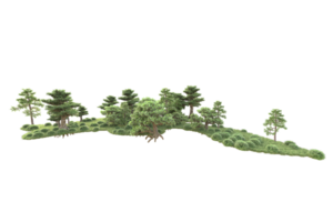 tropical forêt isolé sur transparent Contexte. 3d le rendu - illustration png