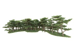 tropisk skog isolerat på transparent bakgrund. 3d tolkning - illustration png