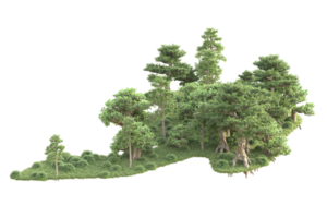 Tropical forest isolated on transparent background. 3d rendering - illustration png