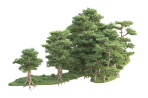 Tropical forest isolated on transparent background. 3d rendering - illustration png