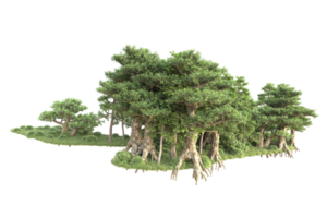 tropisch Wald isoliert auf transparent Hintergrund. 3d Rendern - - Illustration png