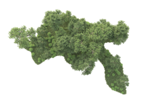 tropical forêt isolé sur transparent Contexte. 3d le rendu - illustration png