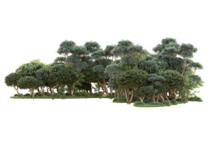 Tropical forest isolated on transparent background. 3d rendering - illustration png