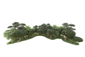 tropical forêt isolé sur transparent Contexte. 3d le rendu - illustration png