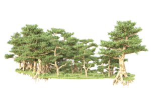 tropisch Wald isoliert auf transparent Hintergrund. 3d Rendern - - Illustration png