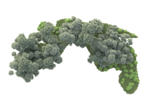 tropisk skog isolerat på transparent bakgrund. 3d tolkning - illustration png