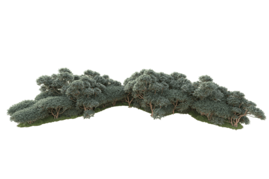 tropisk skog isolerat på transparent bakgrund. 3d tolkning - illustration png