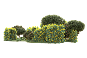 tropical forêt isolé sur transparent Contexte. 3d le rendu - illustration png