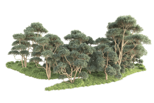 tropisk skog isolerat på transparent bakgrund. 3d tolkning - illustration png