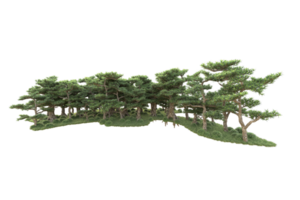 tropical forêt isolé sur transparent Contexte. 3d le rendu - illustration png