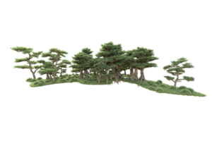 tropical floresta isolado em transparente fundo. 3d Renderização - ilustração png