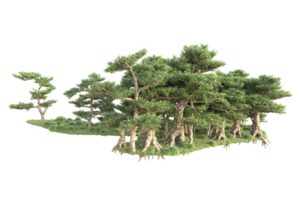 tropical forêt isolé sur transparent Contexte. 3d le rendu - illustration png