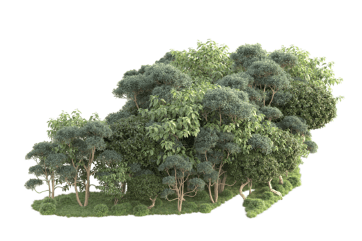 tropisk skog isolerat på transparent bakgrund. 3d tolkning - illustration png