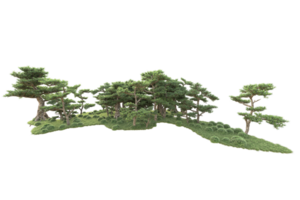 tropisch Wald isoliert auf transparent Hintergrund. 3d Rendern - - Illustration png