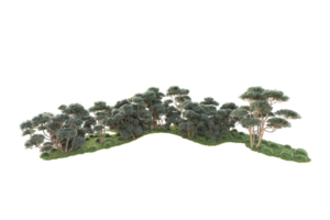 Tropical forest isolated on transparent background. 3d rendering - illustration png