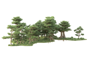 tropisch Wald isoliert auf transparent Hintergrund. 3d Rendern - - Illustration png