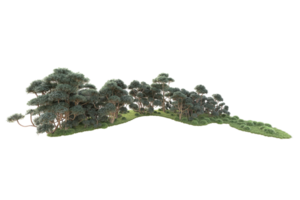 tropical forêt isolé sur transparent Contexte. 3d le rendu - illustration png