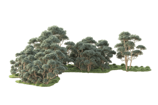 tropisk skog isolerat på transparent bakgrund. 3d tolkning - illustration png