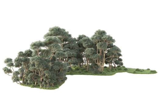 tropisk skog isolerat på transparent bakgrund. 3d tolkning - illustration png