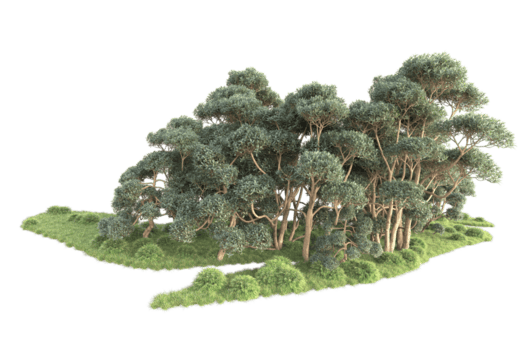 tropisk skog isolerat på transparent bakgrund. 3d tolkning - illustration png