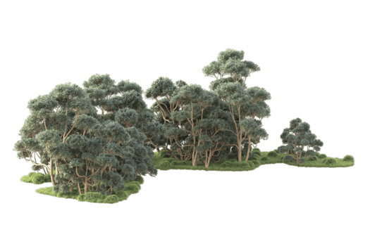 tropisk skog isolerat på transparent bakgrund. 3d tolkning - illustration png