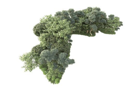 tropisk skog isolerat på transparent bakgrund. 3d tolkning - illustration png