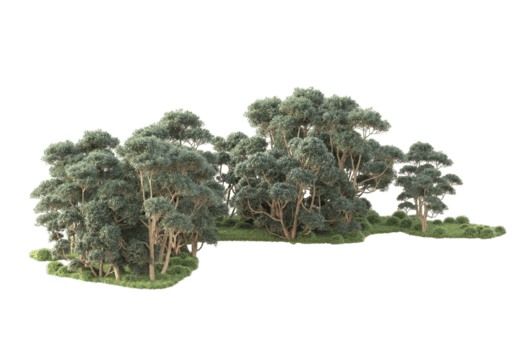 tropisk skog isolerat på transparent bakgrund. 3d tolkning - illustration png