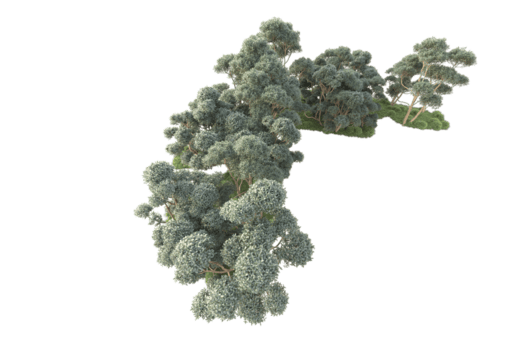 tropisk skog isolerat på transparent bakgrund. 3d tolkning - illustration png