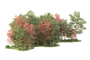 tropisch Wald isoliert auf transparent Hintergrund. 3d Rendern - - Illustration png