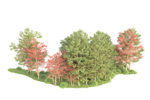 tropisch Wald isoliert auf transparent Hintergrund. 3d Rendern - - Illustration png