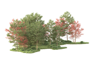 tropisch Wald isoliert auf transparent Hintergrund. 3d Rendern - - Illustration png