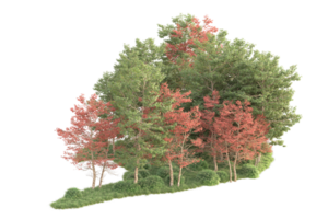 tropisch Wald isoliert auf transparent Hintergrund. 3d Rendern - - Illustration png