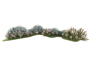 tropical floresta isolado em transparente fundo. 3d Renderização - ilustração png